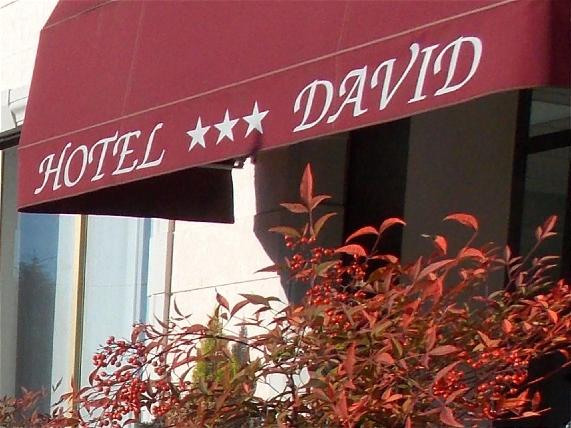 Hotel David Sesto Calende Exterior foto